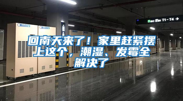 回南天來了！家里趕緊擺上這個，潮濕、發(fā)霉全解決了