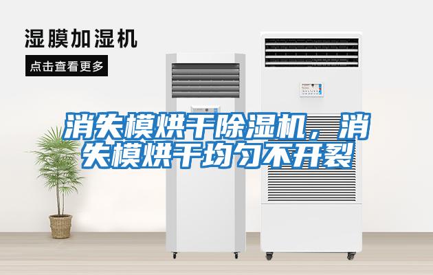 消失模烘干除濕機(jī)，消失模烘干均勻不開裂