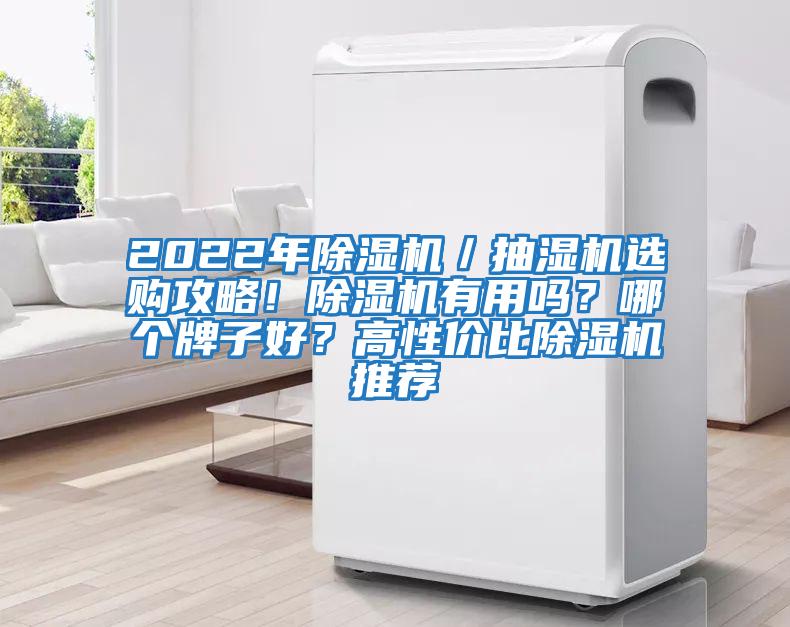2022年除濕機(jī)／抽濕機(jī)選購(gòu)攻略！除濕機(jī)有用嗎？哪個(gè)牌子好？高性價(jià)比除濕機(jī)推薦