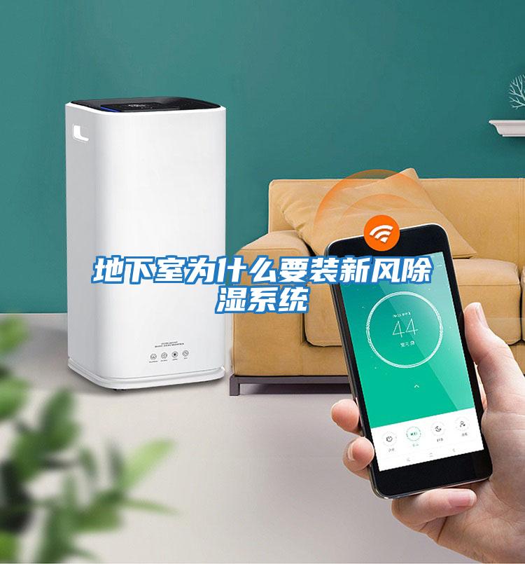 地下室為什么要裝新風除濕系統