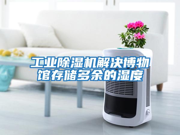 工業(yè)除濕機(jī)解決博物館存儲(chǔ)多余的濕度