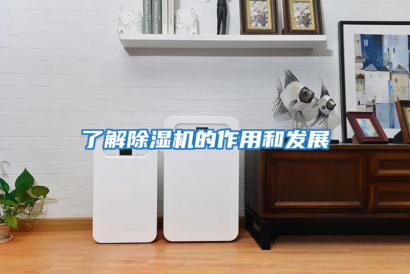 了解除濕機的作用和發展