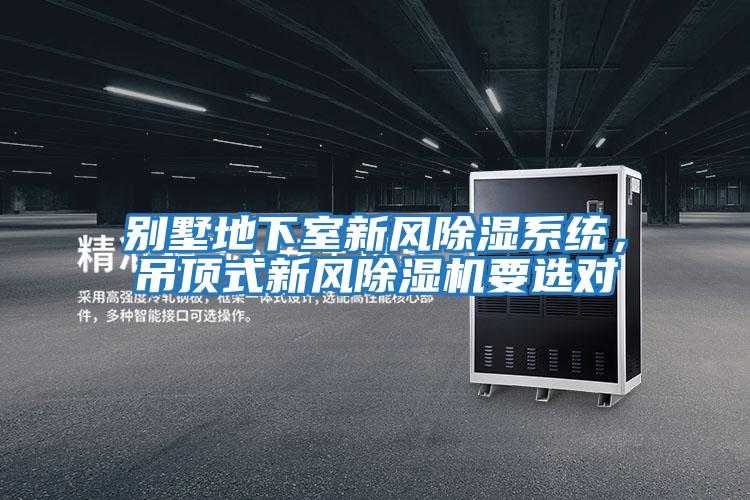 別墅地下室新風(fēng)除濕系統(tǒng)，吊頂式新風(fēng)除濕機(jī)要選對