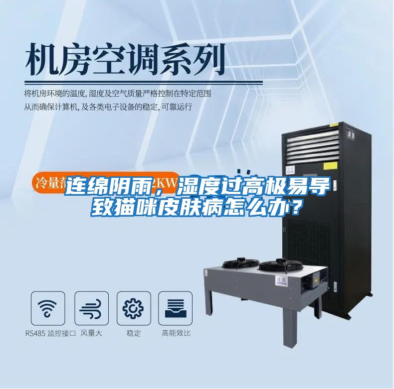 連綿陰雨，濕度過高極易導致貓咪皮膚病怎么辦？