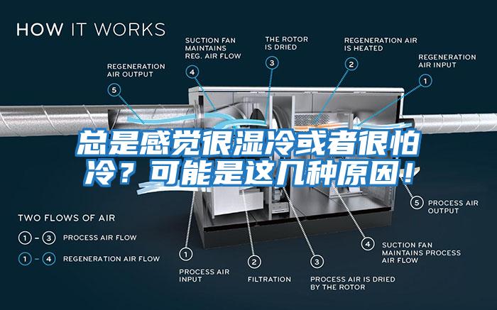 總是感覺很濕冷或者很怕冷？可能是這幾種原因！