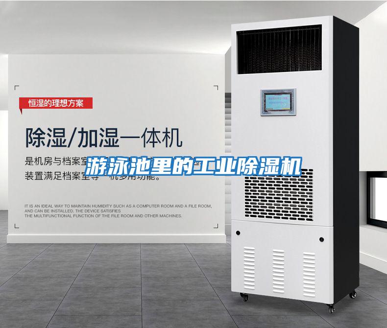 游泳池里的工業除濕機