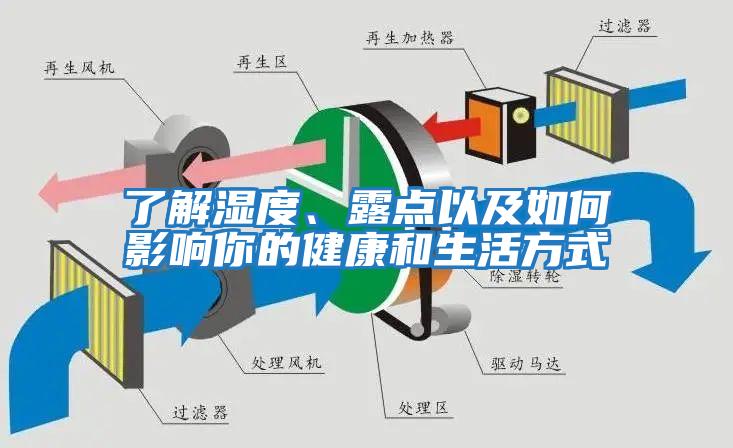 了解濕度、露點以及如何影響你的健康和生活方式
