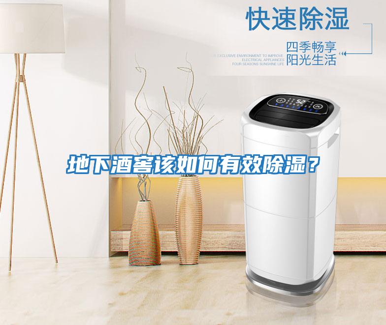 地下酒窖該如何有效除濕？