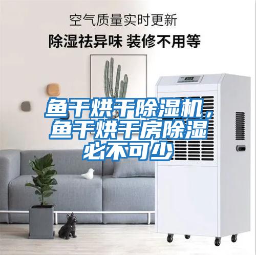 魚干烘干除濕機(jī)，魚干烘干房除濕必不可少
