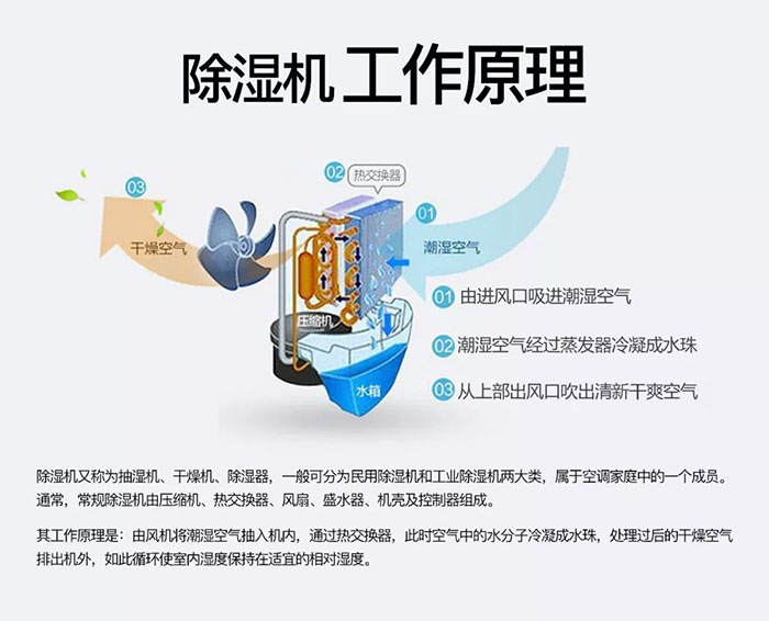 木質家具如何防潮防霉，安詩曼給您支招