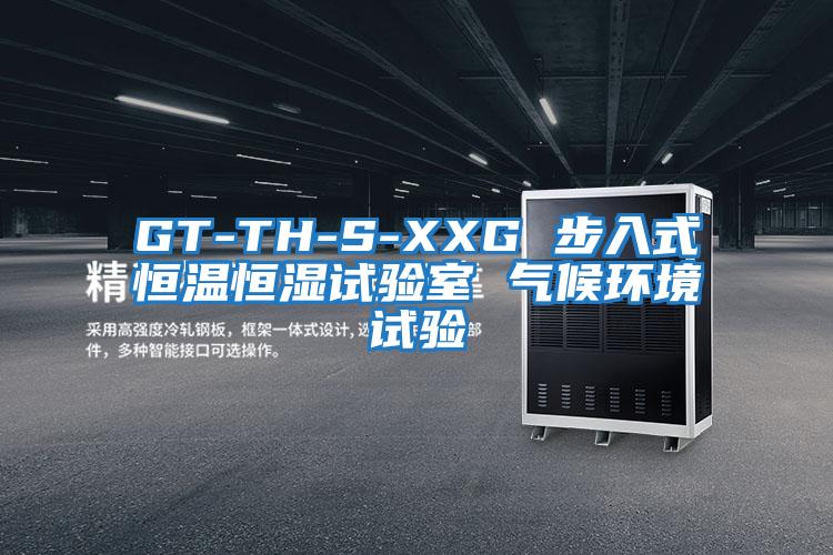 GT-TH-S-XXG 步入式恒溫恒濕試驗室 氣候環境試驗
