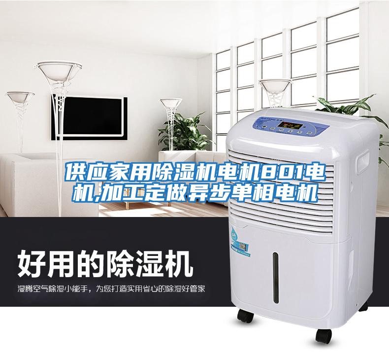 供應家用除濕機電機801電機,加工定做異步單相電機