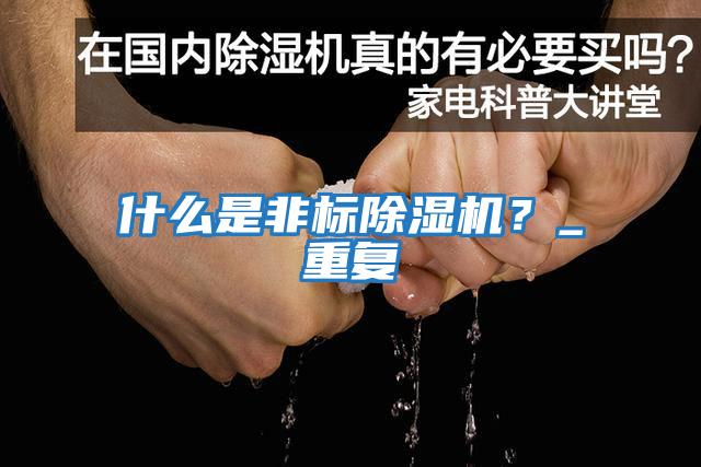 什么是非標除濕機？_重復