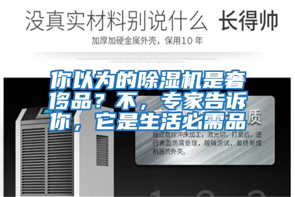 你以為的除濕機是奢侈品？不，專家告訴你，它是生活必需品