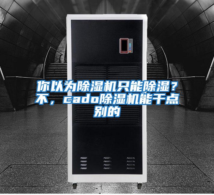 你以為除濕機(jī)只能除濕？不，cado除濕機(jī)能干點別的