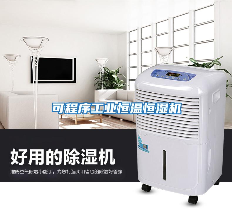 可程序工業恒溫恒濕機