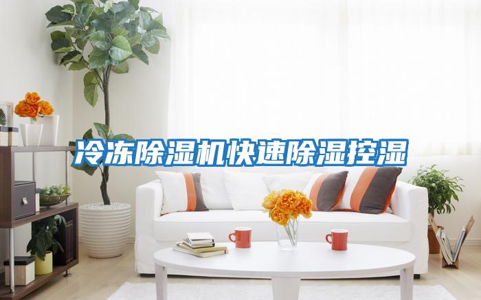 冷凍除濕機快速除濕控濕