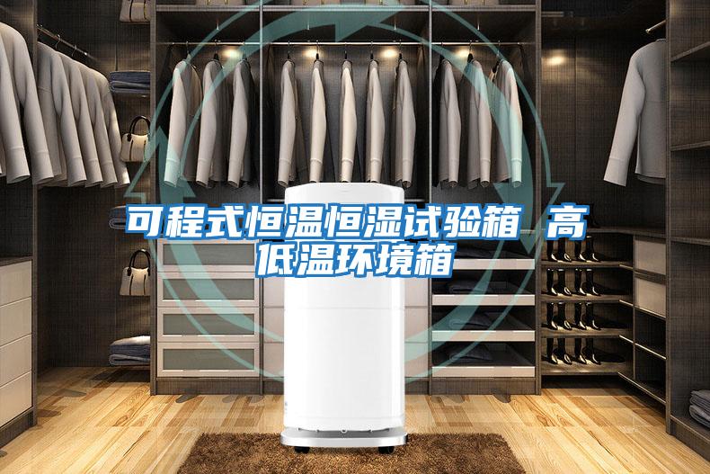 可程式恒溫恒濕試驗箱 高低溫環境箱