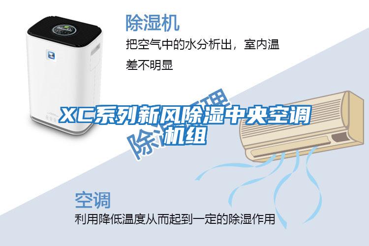 XC系列新風除濕中央空調機組