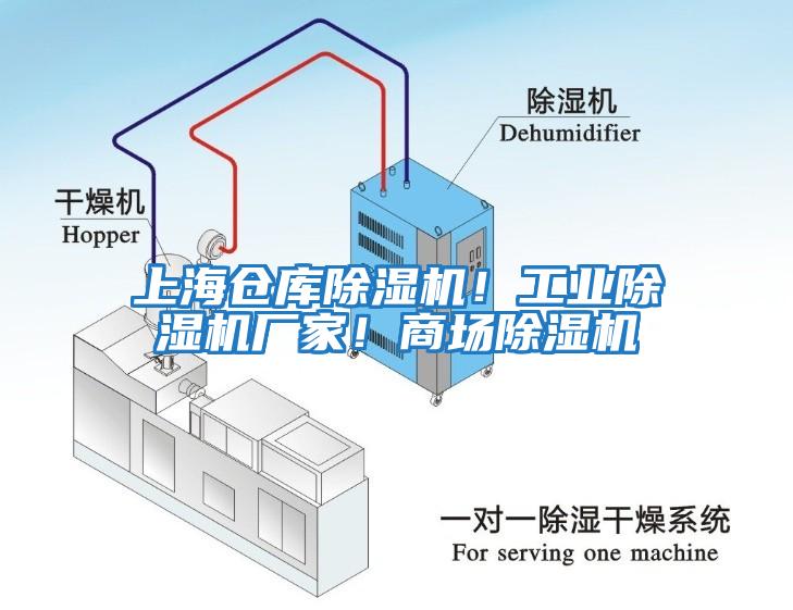 上海倉庫除濕機(jī)！工業(yè)除濕機(jī)廠家！商場除濕機(jī)