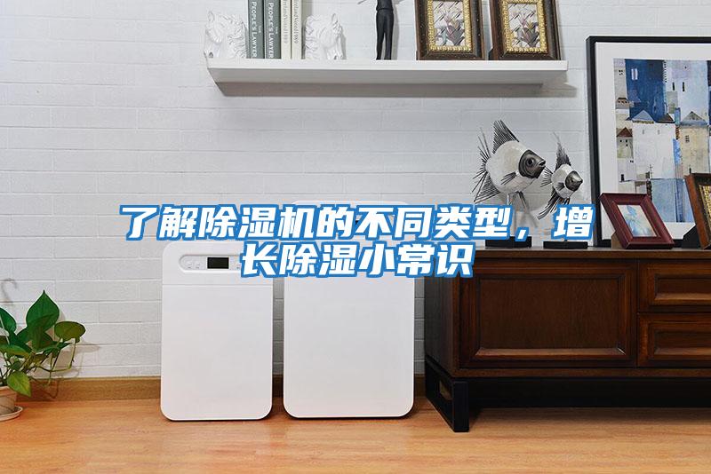 了解除濕機的不同類型，增長除濕小常識