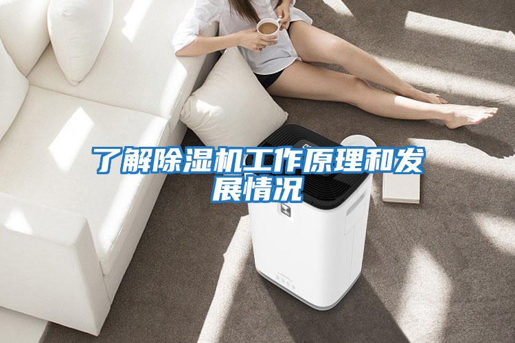 了解除濕機工作原理和發展情況