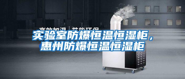 實驗室防爆恒溫恒濕柜,惠州防爆恒溫恒濕柜