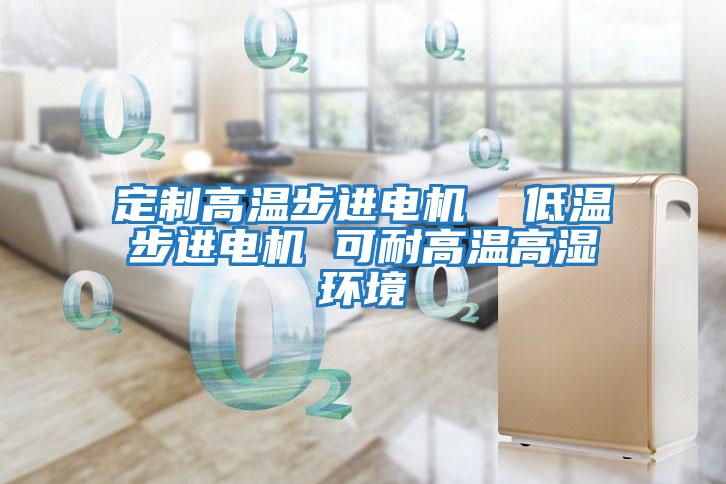 定制高溫步進電機  低溫步進電機 可耐高溫高濕環境
