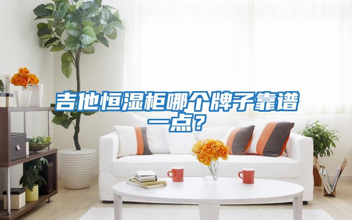 吉他恒濕柜哪個牌子靠譜一點？