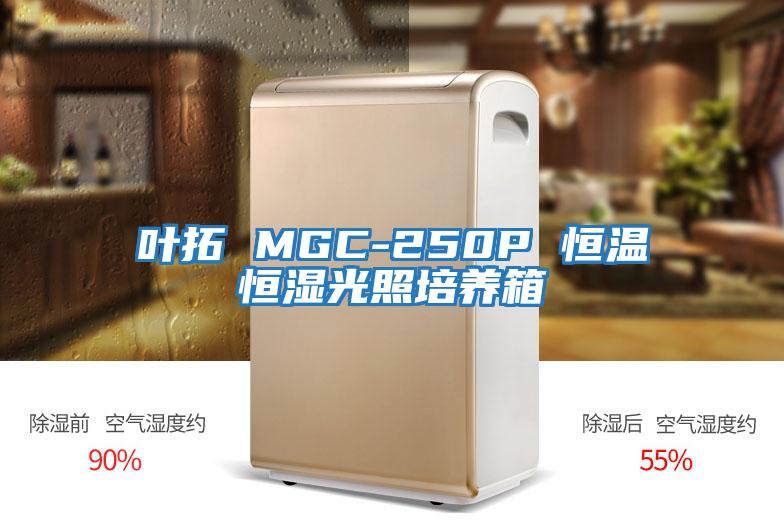 葉拓 MGC-250P 恒溫恒濕光照培養箱