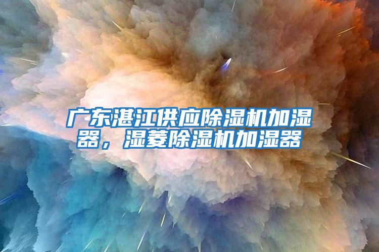 廣東湛江供應(yīng)除濕機(jī)加濕器，濕菱除濕機(jī)加濕器