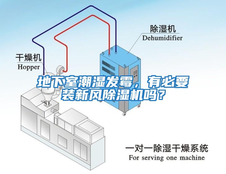 地下室潮濕發霉，有必要裝新風除濕機嗎？