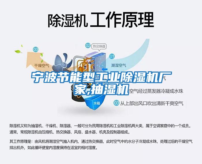 寧波節能型工業除濕機廠家,抽濕機