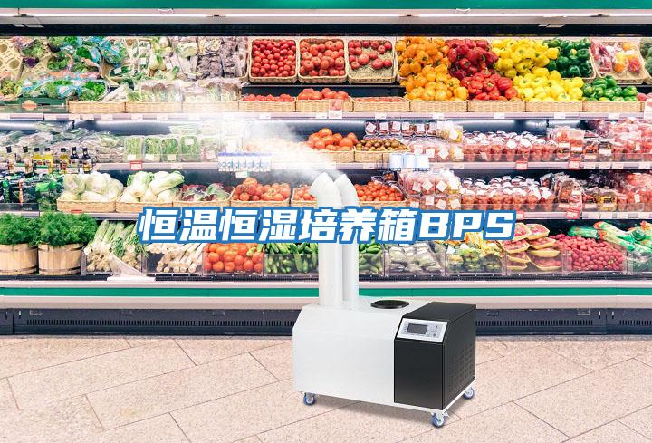 恒溫恒濕培養箱BPS