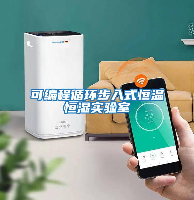 可編程循環步入式恒溫恒濕實驗室