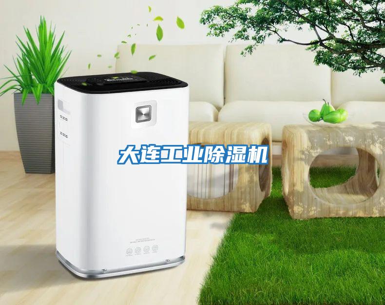 大連工業除濕機