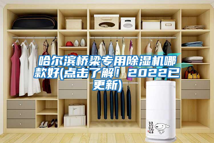 哈爾濱橋梁專用除濕機哪款好(點擊了解！2022已更新)