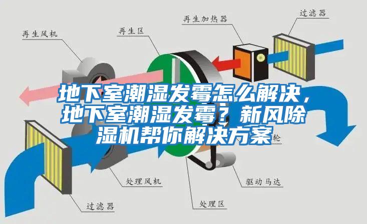 地下室潮濕發霉怎么解決，地下室潮濕發霉？新風除濕機幫你解決方案