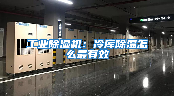 工業(yè)除濕機(jī)：冷庫除濕怎么最有效