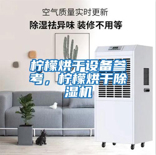 檸檬烘干設備參考，檸檬烘干除濕機