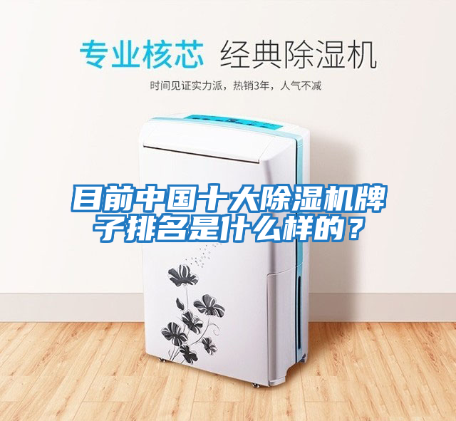 目前中國十大除濕機牌子排名是什么樣的？