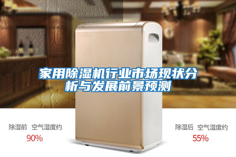 家用除濕機行業市場現狀分析與發展前景預測