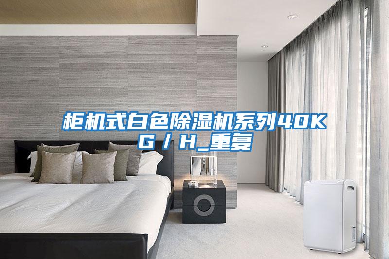 柜機式白色除濕機系列40KG／H_重復
