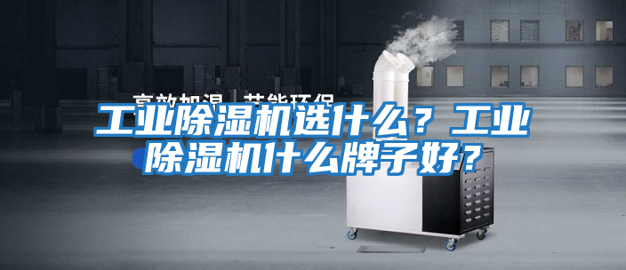 工業除濕機選什么？工業除濕機什么牌子好？