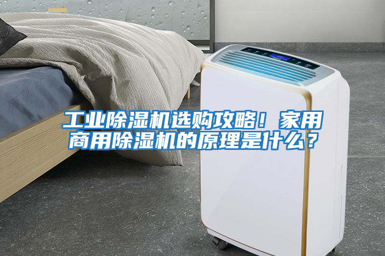 工業除濕機選購攻略！家用商用除濕機的原理是什么？