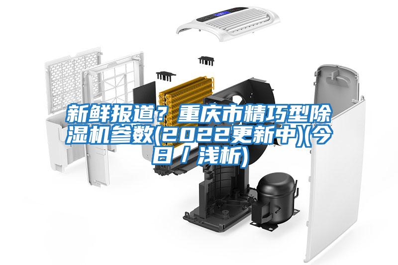 新鮮報道?重慶市精巧型除濕機參數(2022更新中)(今日/淺析)