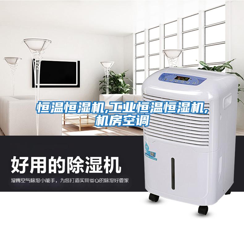 恒溫恒濕機,工業恒溫恒濕機,機房空調