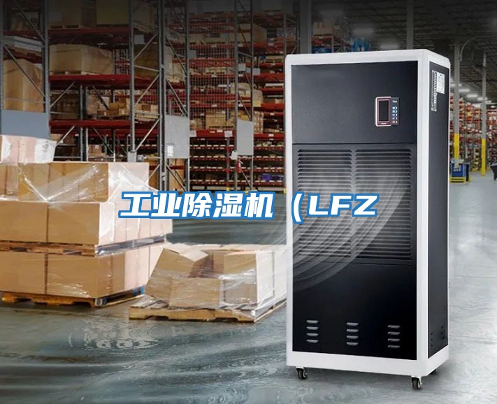 工業除濕機（LFZ