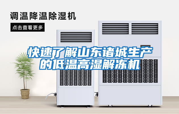 快速了解山東諸城生產(chǎn)的低溫高濕解凍機