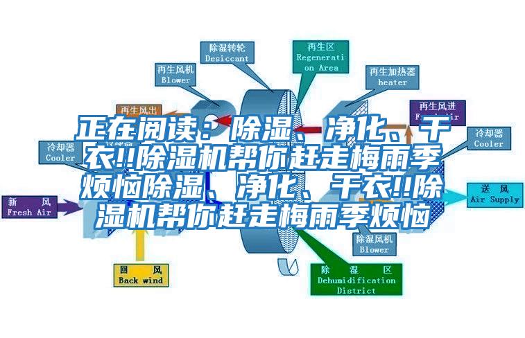 正在閱讀：除濕、凈化、干衣!!除濕機(jī)幫你趕走梅雨季煩惱除濕、凈化、干衣!!除濕機(jī)幫你趕走梅雨季煩惱